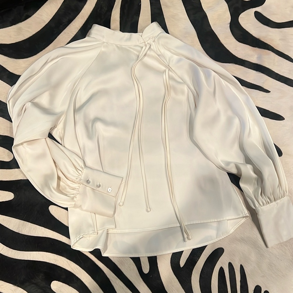 Zara Balloon Sleeve Blouse Small
